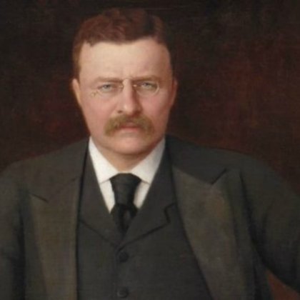 THEODORE ROOSEVELT BECAME THE 26TH US PRESIDENT (1901-1909) AFTER THE ASSASSINATION OF PRE